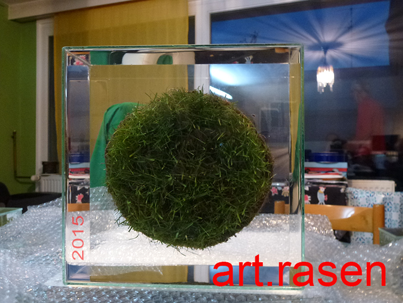 art punkt rasen